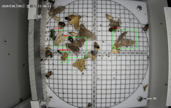機(jī)場(chǎng)蟲情監(jiān)測(cè)設(shè)備圖片1